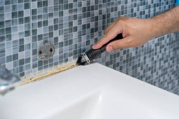 Best Mold Remediation for Schools in Lockport, NY